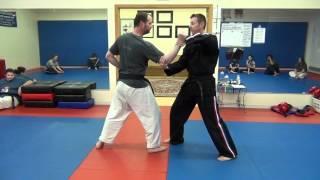 Funakoshi Karate Throw Tsubamegaeshi - V-Turning Swallow