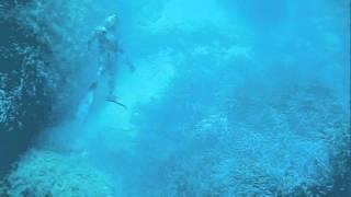 Omer 3D wetsuit 5mm.wmv