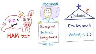 Paroxysmal Nocturnal Hemoglobinuria (PNH) Mnemonic!