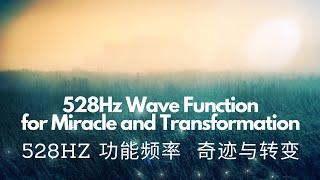 Wave Function 功能声波 21天 528Hz 强大功能频率【Miracle and Transformation Wave Function 奇迹与转变】能量调整 | 功能频率｜心灵 疗愈