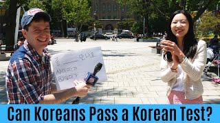 Can Koreans Pass a Korean Language Test? | 한국 사람들도 어려워하는 한국말 Top 10