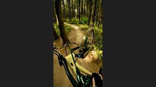 Jumps Keep Getting BIGGER!  #bike #mtb