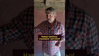 Що робили трипільці перед тим, як спалити свою оселю? #історія #трипільськакультура #археологія