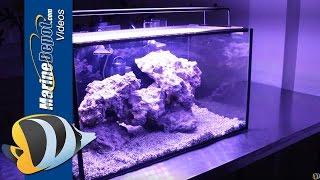 Tank Hacks: Easy Upgrades for Your Innovative Marine Fusion Nano 20