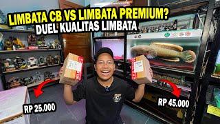 GILA!! PAKET CHANNA LIMBATA Rp 25.000 VS LIMBATA Rp 45.0000?? MANA YANG LEBIH BAGUS??