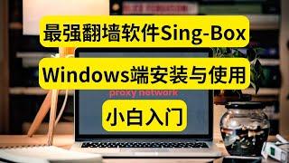 最强翻墙软件Sing Box Windows端安装与使用 小白入门 科学上网 魔法上网