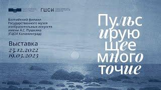 Видеоролик с открытия выставки Балтийского Филиала Пушкинского музея «Пульсирующее многоточие».