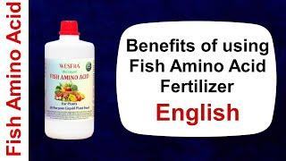 Benefits of using Fish Amino Acid Fertilizer / English