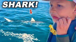 Once In A Lifetime SHARK Encounter!