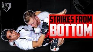 MMA Striking from Your Back: Strategies & Drills