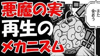 【ワンピース考察】悪魔の実は再生する！？その受け継がれ方の秘密！！