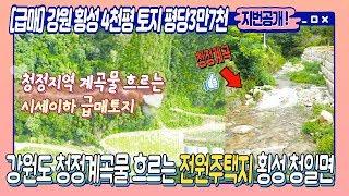 [급매] 시세대비 저렴한 청정계곡물이 흐르는 토지매매, 4,037평 평당3만7천, 강원도 횡성군 청일면 시골땅 매물, 전원주택지 추천 : 스타부동산TV