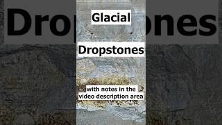 Glacial Lake Identification and Dropstones--Tacoma, Washington