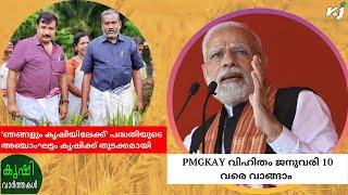 ഡിസംബർ മാസത്തെ PMGKAY വിഹിതം ജനുവരി 10-ാം തീയതി വരെ വാങ്ങാം|pmgkay|pmmodi|rationcard|granil|phhcard|