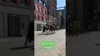 #623 TRAVEL VLOG - Horse Riding at Stockholm, Sweden, Europe