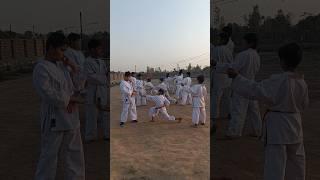 karate training video power hand ponch Shito ryu karate 