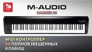 MIDI-клавиатура M-Audio Hammer 88 ( молоточковая клавиатура)