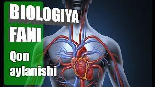 Biologiya fani 8 sinf Qon aylanishi