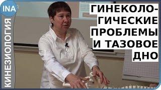 Гинекологические проблемы и тазовое дно. Кинезиология. Л.Ф. Васильева