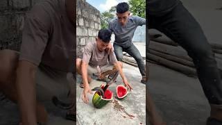 Giant Melon Gave Birth to a Snake?!  #couple #martialarts #comedy #entertainment #comedyshorts