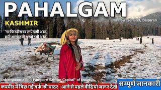 Pahalgam Kashmir | Fresh Snowfall in Pahalgam | Pahalgam Snowfall Today | Heavy Snowfall in kashmir