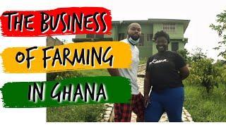 FARMING 100 ACRES OF COFFEE IN GHANA | ASILI COFFEE & THE AKUAPEM COFFEE REVOLUTION PART 1