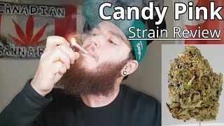 Strain Review - Candy Pink