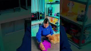 Иллюзия в 3д печати