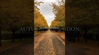 Autumn and November in London 2024 #london #londonexploration #europeancapital #explorelondon