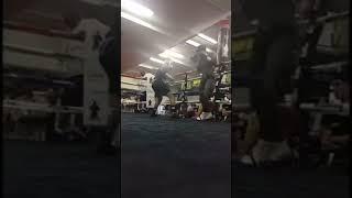 Asinia DGhost Byfield Sparring Gervonta Davis (Tank) Edited Vid