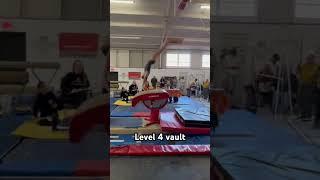 9.5 vault!!!!