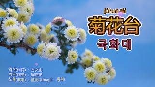 童丽(동려) - 菊花台(국화대)【가사번역】 + 黄江琴(황강금) 二胡(얼후) 연주곡.