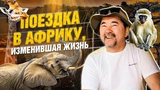 Полная перезагрузка | Жизнь с хищниками | В самом сердце Африки