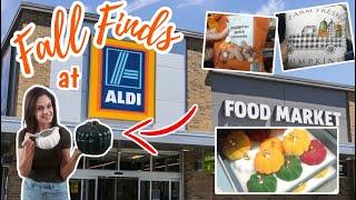 NEW Aldi Finds for FALL! | Southern Family Cook & Shop with Me