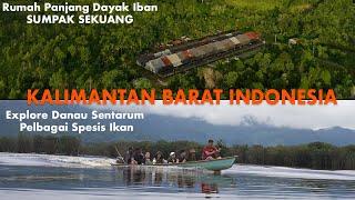 Rombongan Dari MALAYSIA ke INDONESIA.Merasa Ikan Segar dan Bermalam di Rumah Panjang Dayak Iban.