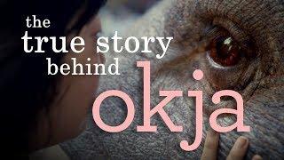 Okja | Understanding the (Im)Morality of Animal Consumption