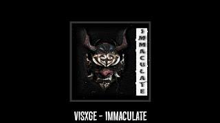 visxge - immaculate