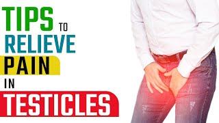 Tips to Relieve Pain in Testicles | Pain in testes |  Dr. Health