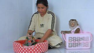 Smart Girl Luna With Valen Happy Plays And Sit In Basket