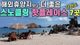 "초보도 즐길 수 있는 동해 스노클링 명소 7곳"/이 바닷속 한국 맞아?/이 맛에 동해바다 가지~