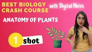 Anatomy of Plants in One Shot |Best Biology Crash Course | Ishita Khurana