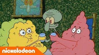 SpongeBob SquarePants | Cinta tetangga 2 | Nickelodeon Bahasa
