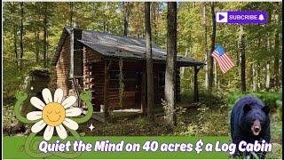 Quiet the Mind, Michigan Log Cabin w/ 40 acres $129k