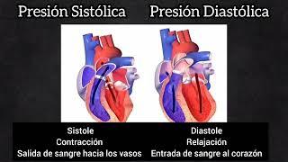 Presión Arterial Media (Cómo calcularla) 