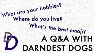 Q & A | Darndest Dogs