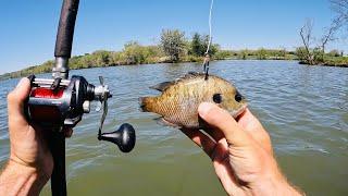 This ONE Decision Changed Everything - Kayak Catfishing