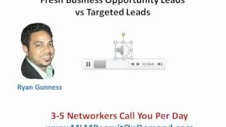 Biz Opp Leads Vs Targeted Leads