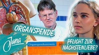 WIDERSPRUCHSLÖSUNG? Was tun gegen den ORGANMANGEL? | JANA