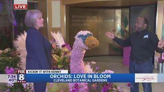 Kenny's surrounded by orchids at Cleveland Botanical Garden