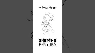 АКЦЕНТЫ в РИСУНКЕ